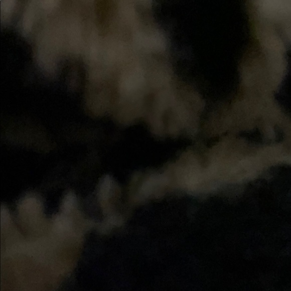 Meet your Posher, Ben - Picture 1 of 1